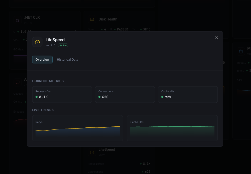 LiteSpeed monitoring dashboard