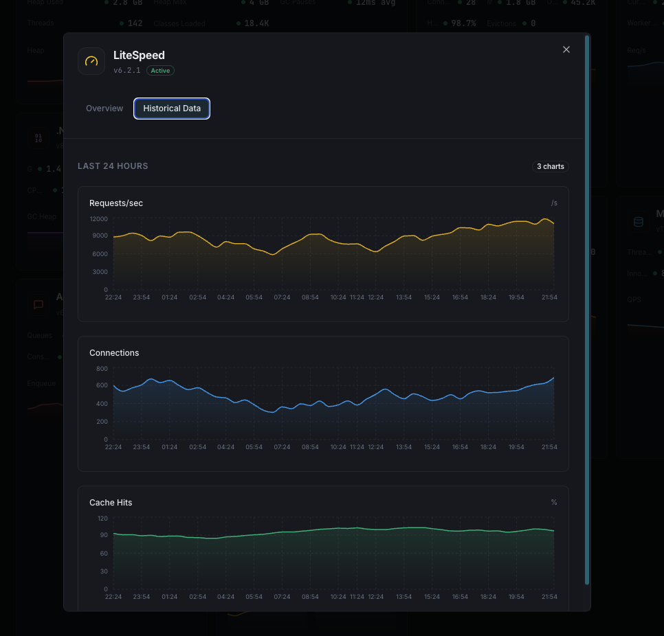 LiteSpeed cache performance analytics