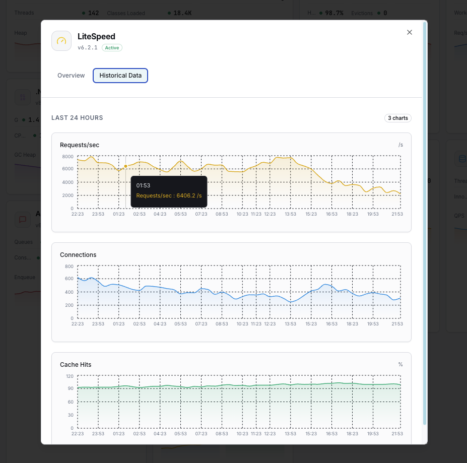 LiteSpeed cache performance analytics