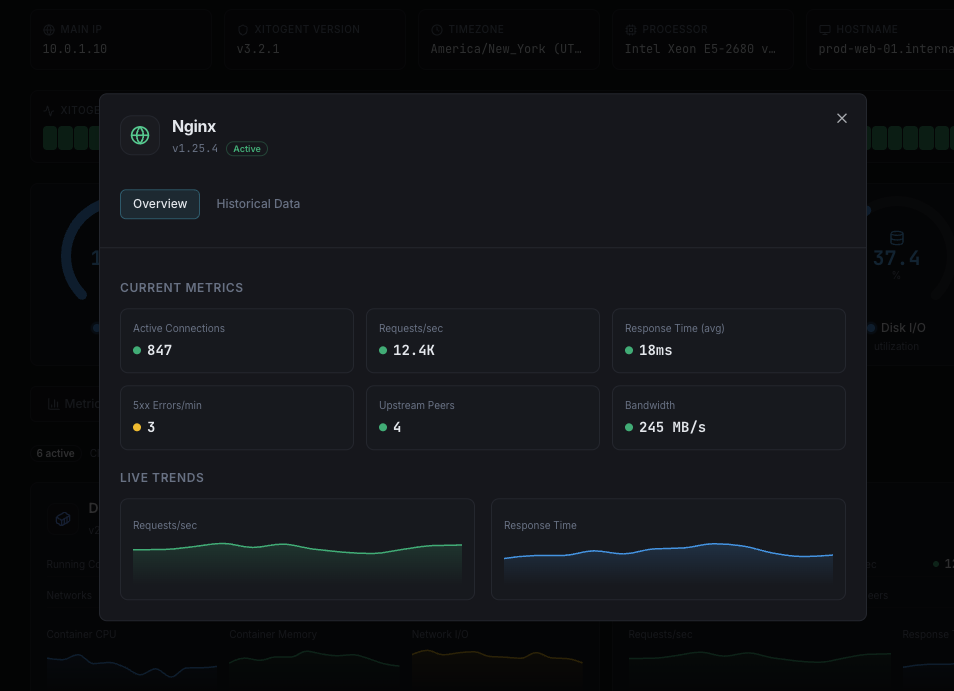 Nginx monitoring dashboard with real-time metrics