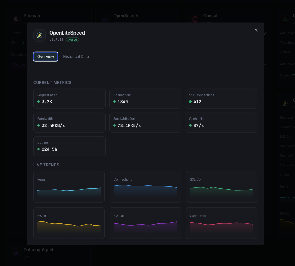 OpenLiteSpeed monitoring dashboard