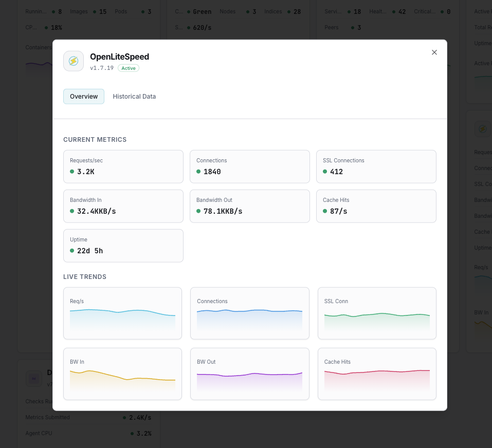 OpenLiteSpeed monitoring dashboard