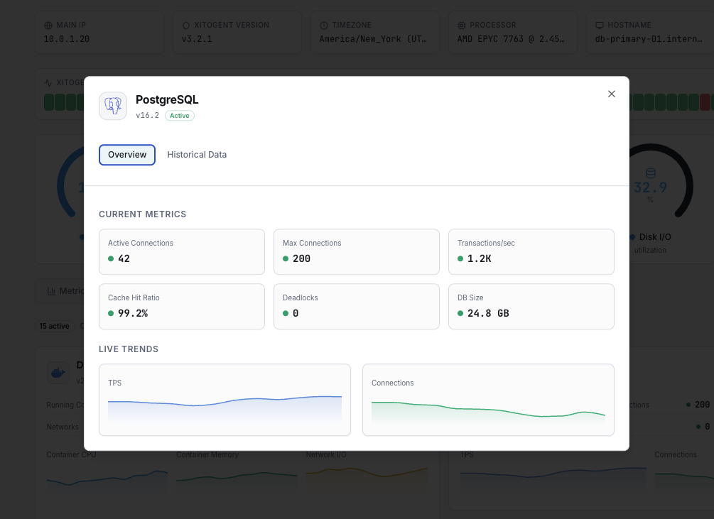 PostgreSQL monitoring dashboard with transaction metrics